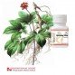 Капсулы Жень Шень Плюс
