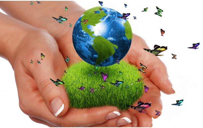 Международная корпорация «GREEN WORLD»